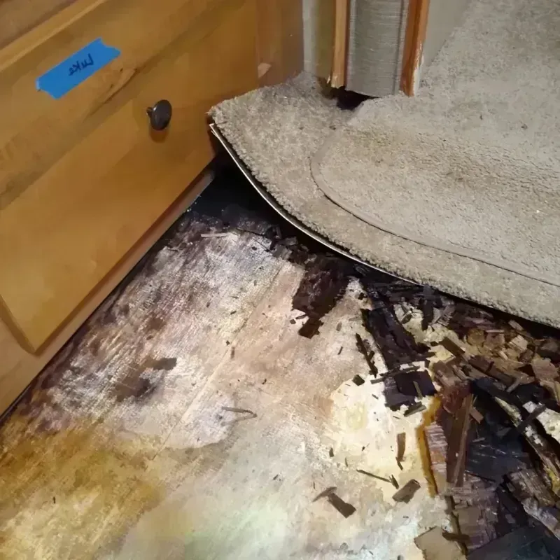 Wood Floor Water Damage in Reading, OH